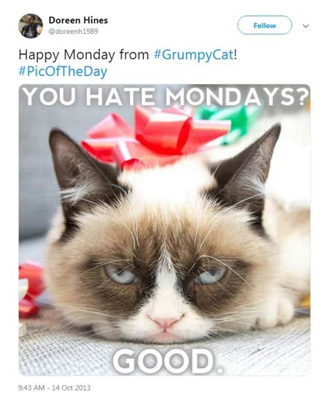 RIP Grumpy Cat: Looking back on her best memes | story | Kids News