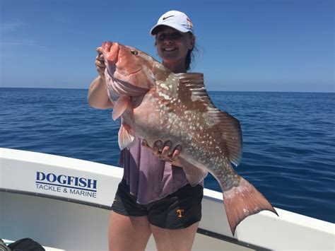 Red Grouper Fishing | Got One Sportfishing