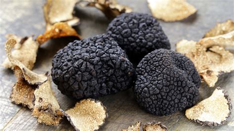 ARCHAEOLOGY OF FRUITS & VEGETABLES - Black Truffle - Chef's Mandala