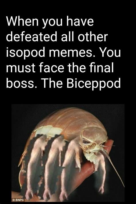 When you have defeated all other isopod memes. You must face the ﬁnal ...