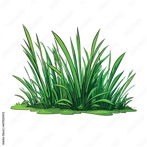 Grass flat vector illustration. Grass cartoon hand drawing isolated ...