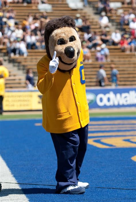 Uc Berkeley Mascot