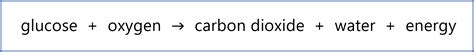 Respiration and Photosynthesis | Good Science