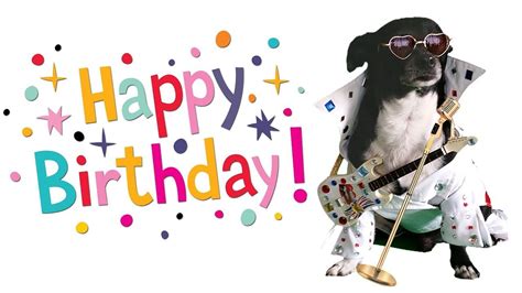 Happy Birthday Song Funny dog sings like Elvis | Funny happy birthday ...