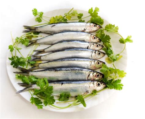 Buy Whole Sardines Online - 1kg bag - Bradley's Fish