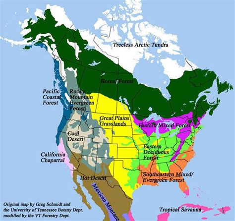 Temperate coniferous forest, Forest map, Biomes