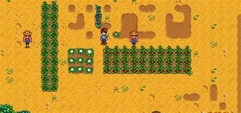 Top 5 Most Profitable Crops for the Greenhouse (Stardew Valley ...