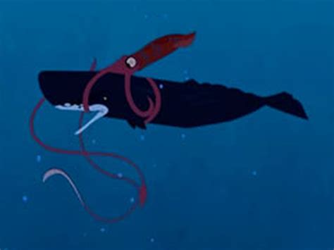 Sperm Whale vs. Giant Squid | Wild kratts, Whale, Animal habitats