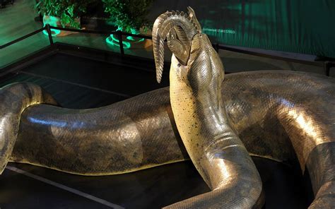 Largest Prehistoric Snake