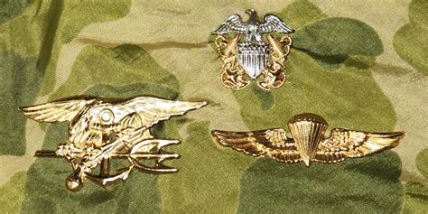 NAVY SEAL CDR Insignia Lot