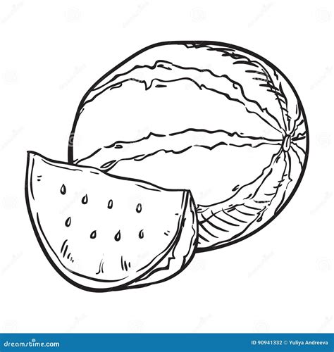 Hand Drawn Sketch Watermelon Illustration. Stock Vector - Illustration ...