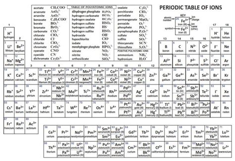 Periodic Table With Polyatomic Ions Pdf | Brokeasshome.com