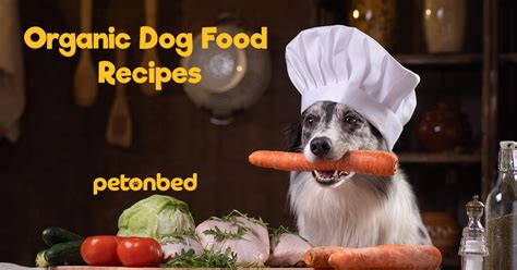 Best Organic Dog Food Recipes That Are Super Easy to Make | PetonBed