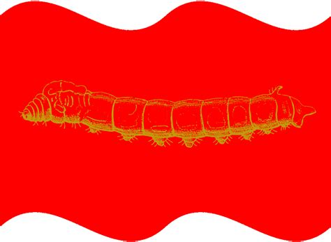 Flag of kingdom of xinjiang by Van-Dunkelschreiber on DeviantArt