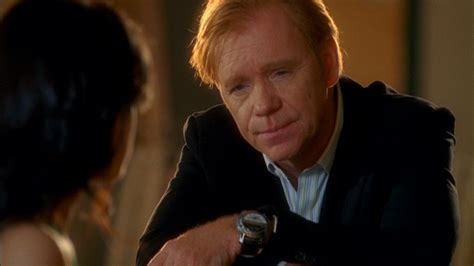 Horatio - Lt.Horatio Caine Photo (41251625) - Fanpop