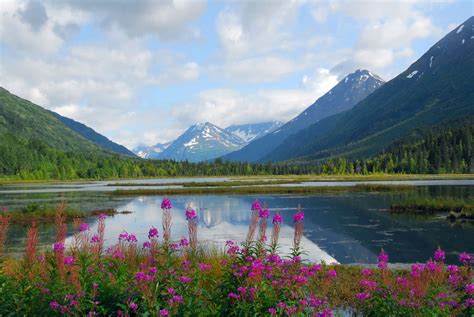 Kenai National Wildlife Refuge