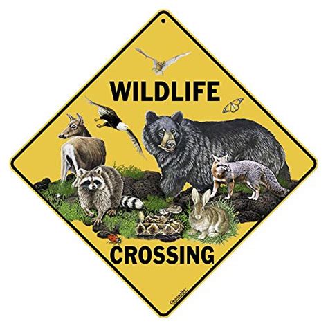 46 Best wildlife crossing sign 2022 - After 171 hours of research and ...