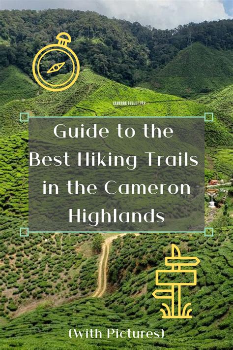 Guide to the Best Hiking Trails in the Cameron Highlands | Cameron ...