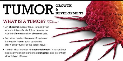 Tumor Growth & Development | Infographics