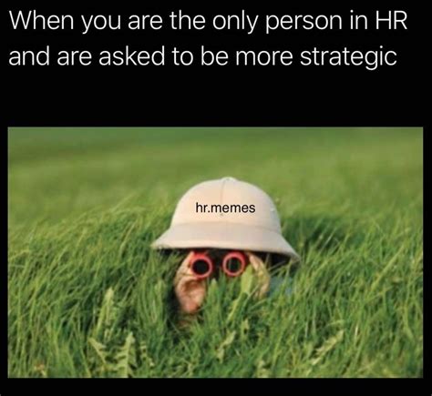 Top 14 Funniest HR Memes