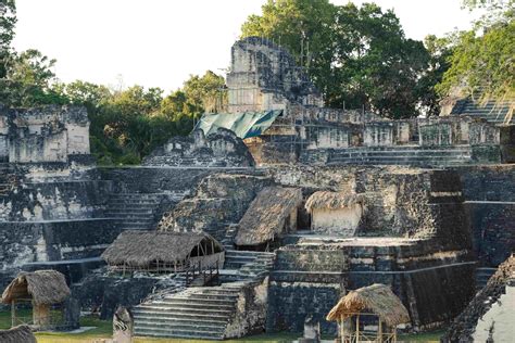 The Mayan City of Tikal from 300 CE - Brewminate: A Bold Blend of News ...