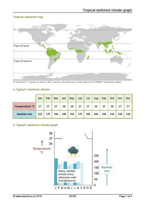 Tropical Rainforest Climate Graph