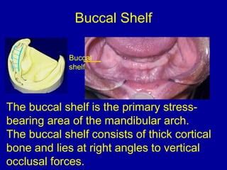 oral anatomy | PPT