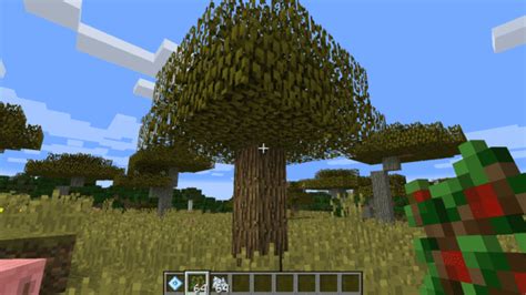 Apple Trees (1.11.2) | Minecraft Mods