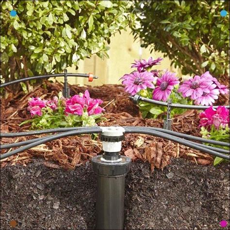 A Drip Irrigation System Lets You Make The Most Of Your Water To ...