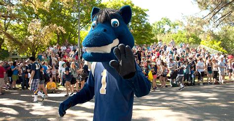 Uc Davis Mascot