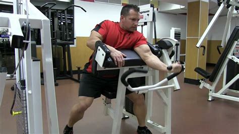 Hammer Strength Seated Bicep Curl Tutorial, 44% OFF