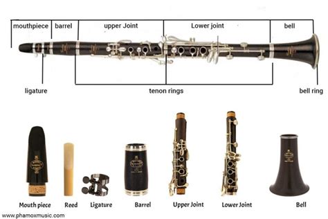 Parts Of The Clarinet - Clarinet Anatomy | Phamox Music