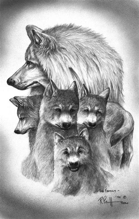 Tundra Wolf Family Drawing by Bob Patterson - Pixels