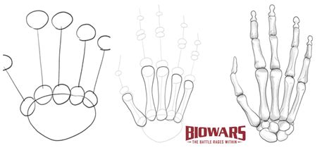 Skeleton Hand Drawing In 5 Steps [Video + Illustrations]