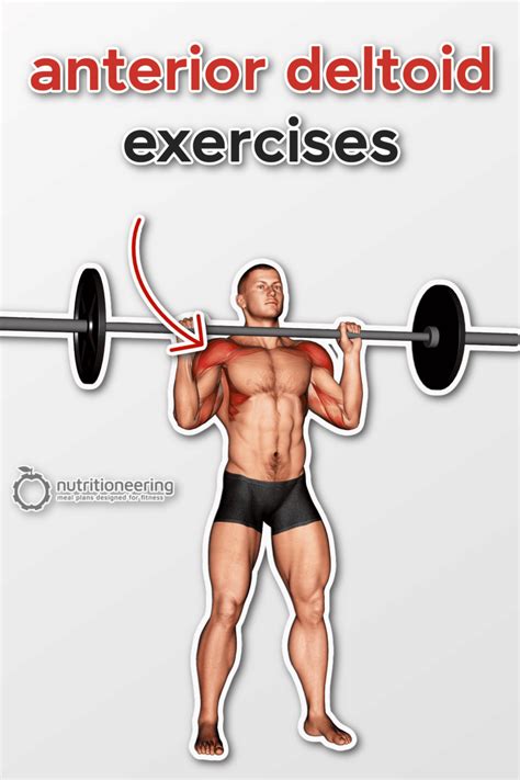 23 Anterior Deltoid Exercises for Shoulder Size & Strength ...