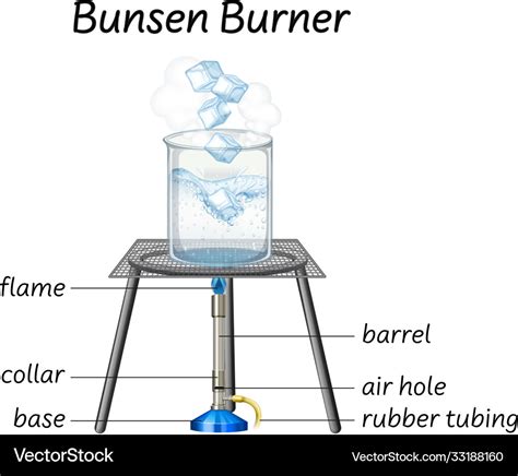 Science bunsen burner diagram Royalty Free Vector Image