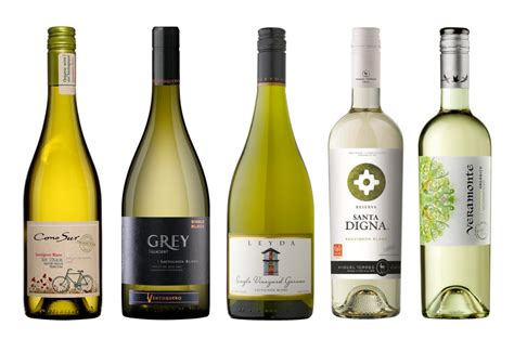 Ten top great value Chile Sauvignon Blanc wines - Decanter