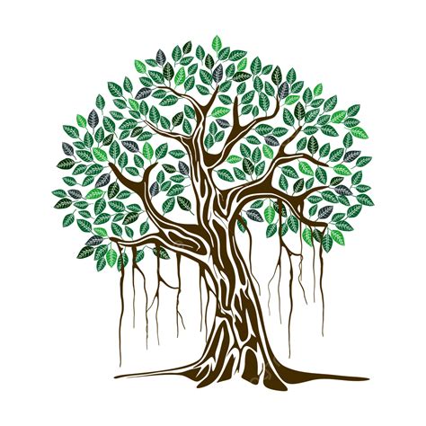 Banyan Tree Vector Png Images Banyan Tree Illustration Banyan Tree ...