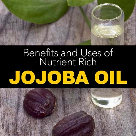 The Wonderful Benefits and Uses Of Nutrient Rich Jojoba Oil