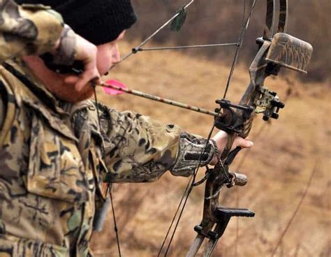 The Basics - Bow Hunting for Beginners » targetcrazy.com