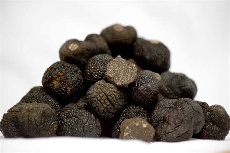 TUBER MELANOSPORUM BLACK TRUFFLES BY MANJARES DE LA TIERRA. (TRUFFES ...