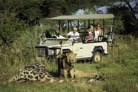 Top 5 Safari Destinations in Africa You Shouldn't Miss - StoryV Travel ...