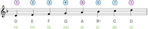 D Minor Scale: A Piano Practice Guide | tonebase Piano