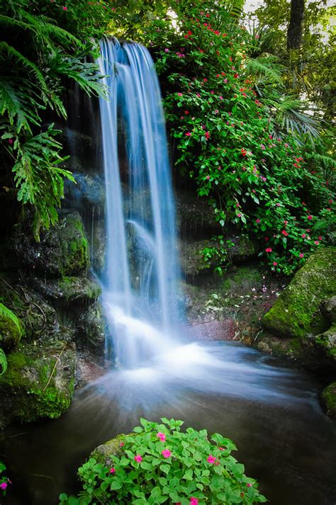 Rainbow Springs Waterfall Photograph by Richard Leighton | Pixels