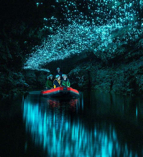 Waitomo Caves Tours NZ | Spellbound Glowworm Cave Tours