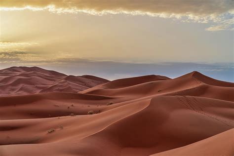 Sand Dunes In The Sahara Desert - by Starcevic