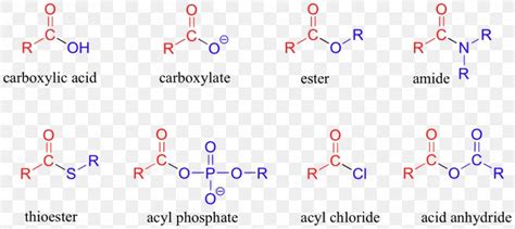 Ether Carboxylic Acid Acyl Group Ester Functional Group, PNG ...