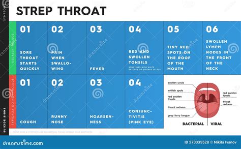 Vector Infographic with Strep Throat Symptoms. Some of Them are: Sore ...