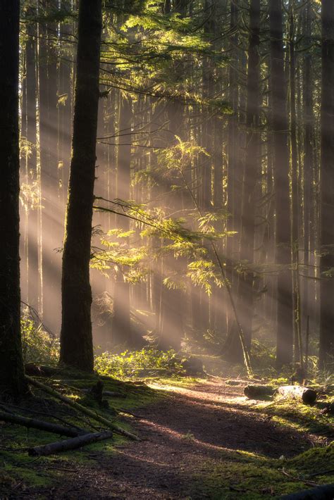 The Magic of Fog — Vanexus Photography: Vancouver Landscape Photographers