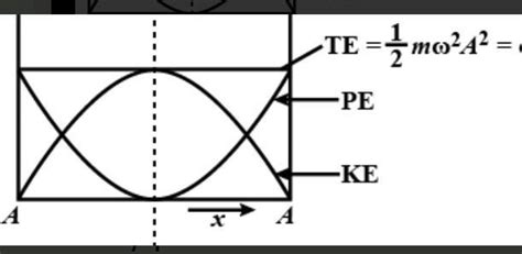 Graphs of the potential energy, kinetic energy and total energy of an ...